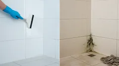 Home kylpyhuoneessa: 7 siivousvirhettä, joiden takia se palaa yhä uudelleen